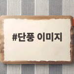 단풍 이미지