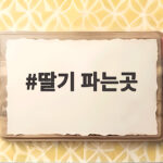 딸기 파는곳