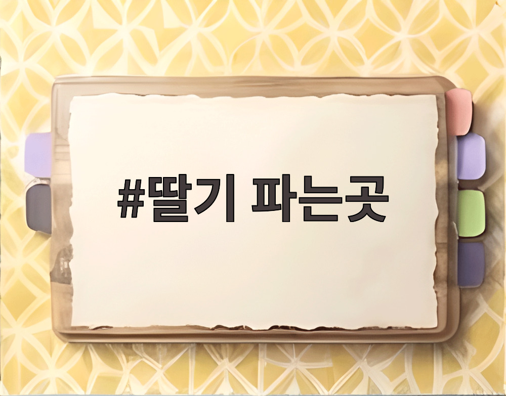 딸기 파는곳