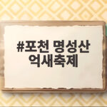 포천 명성산 억새축제