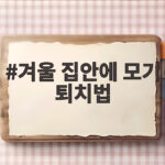 겨울 집안에 모기 퇴치법