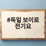 독일 보이로 전기요