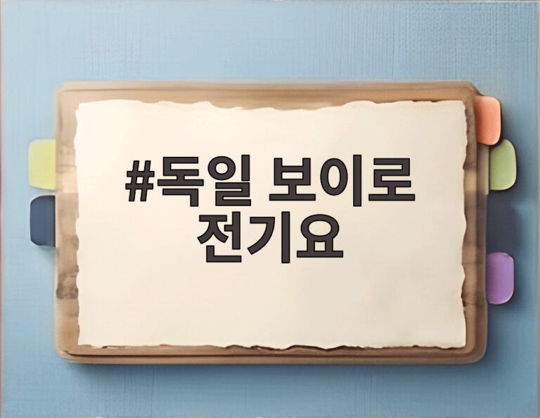 독일 보이로 전기요