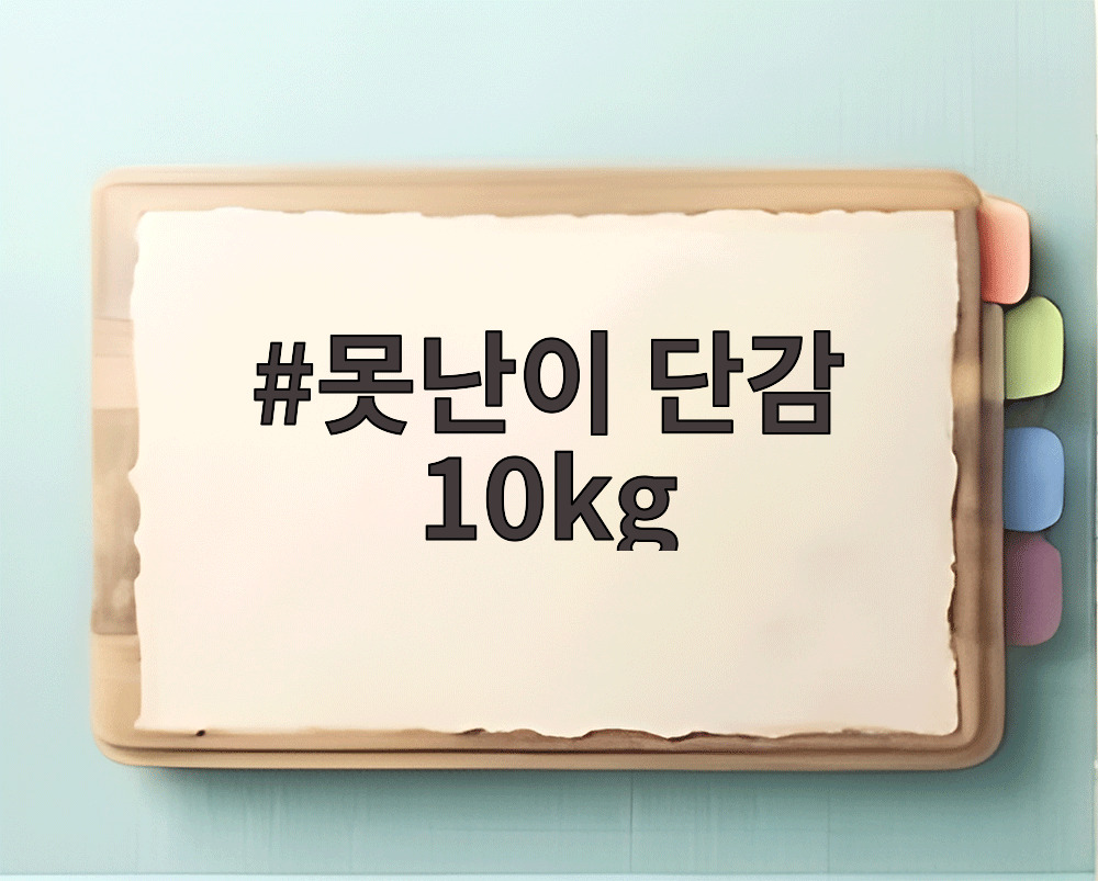 못난이 단감 10kg