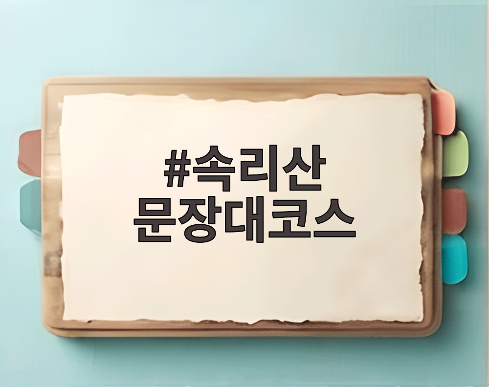 속리산 문장대코스
