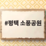 평택 소풍공원