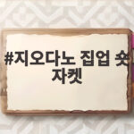 지오다노 집업 숏 자켓