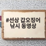 선상 갑오징어 낚시 동영상