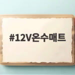12V온수매트