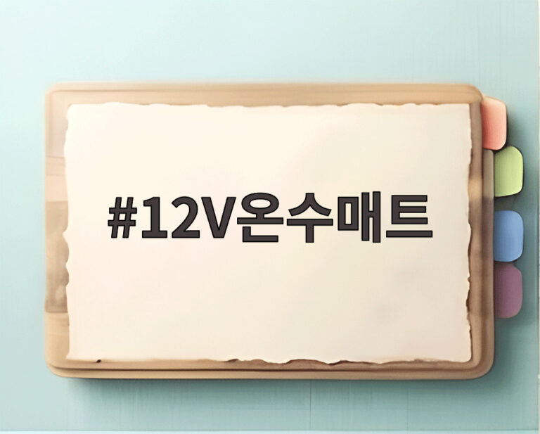 12V온수매트
