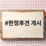 한정후견 개시