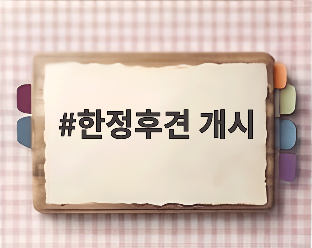 한정후견 개시