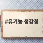 유기농 생강청 고르는 법과 따뜻하게 즐기는 건강차 이야기 유기농 생강청