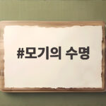모기의 수명