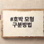 호박 모형 구분방법