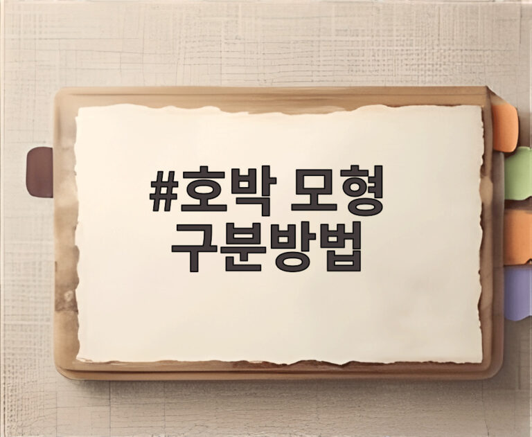호박 모형 구분방법