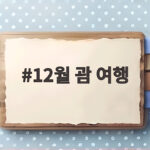 12월 괌 여행