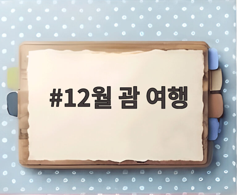 12월 괌 여행