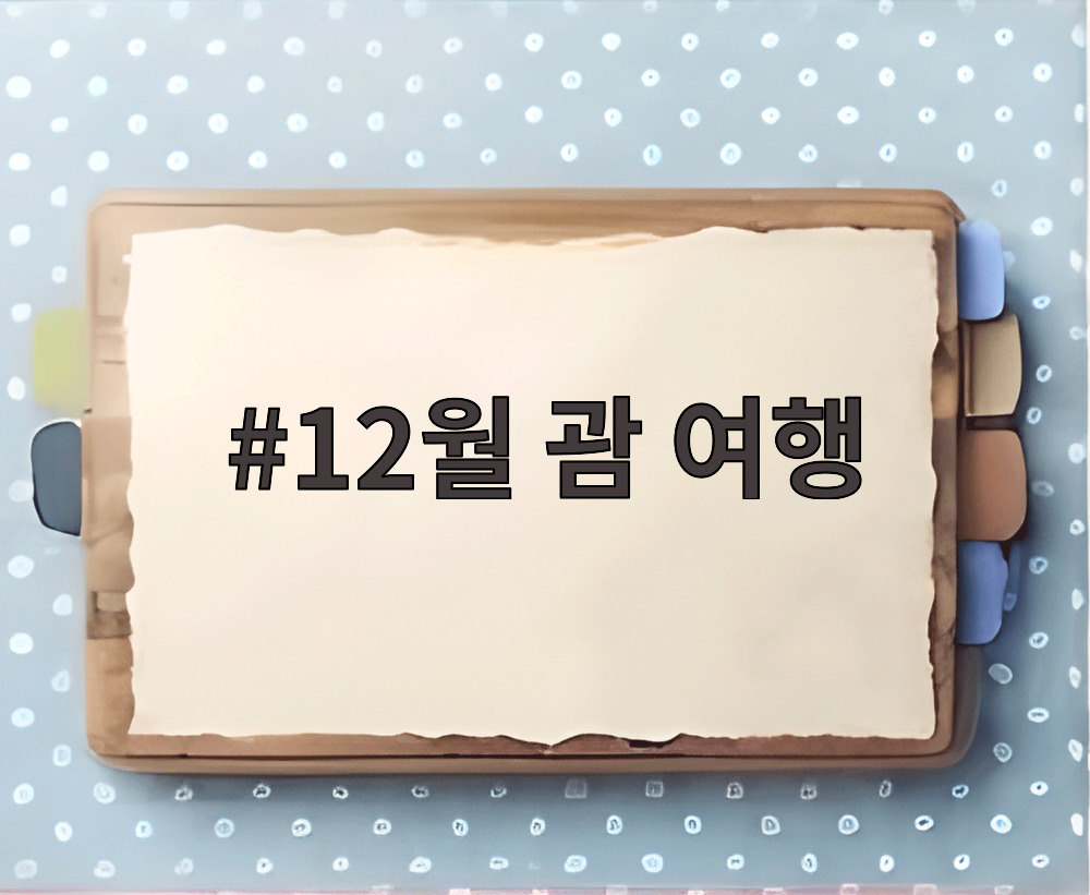 12월 괌 여행