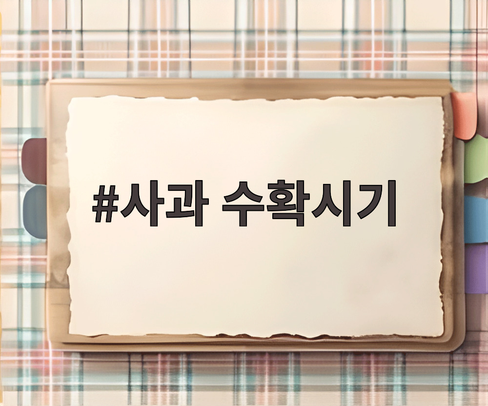 사과 수확시기