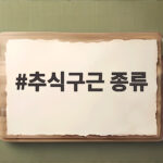 추식구근 종류