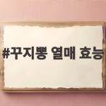 꾸지뽕 열매 효능