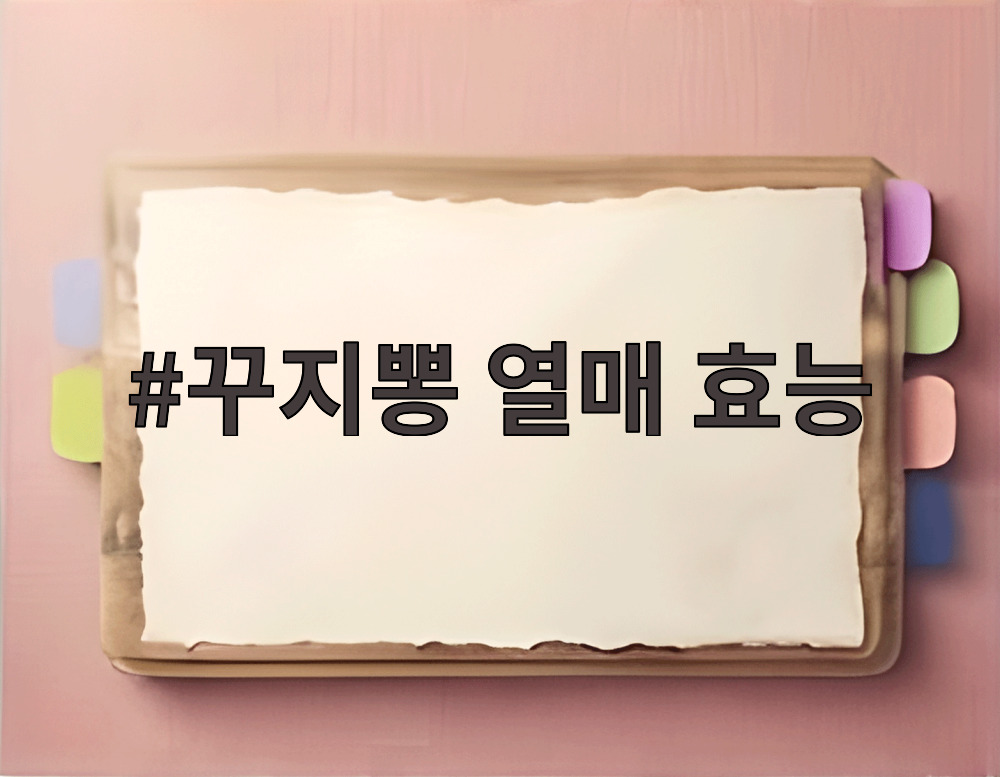 꾸지뽕 열매 효능