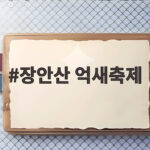 장안산 억새축제