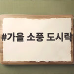 가을 소풍 도시락 준비 이렇게 하면 아침이 한결 가벼워요 가을 소풍 도시락