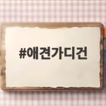 애견가디건 초보 보호자가 알아두면 좋은 사이즈와 소재 고르는 방법 애견가디건