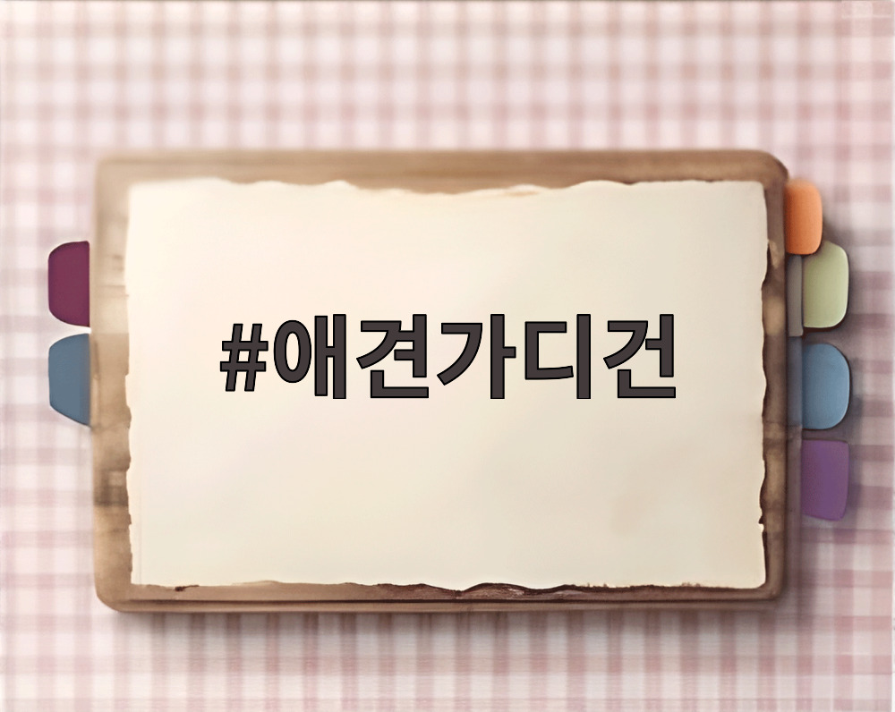 애견가디건