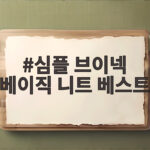 심플 브이넥 베이직 니트 베스트