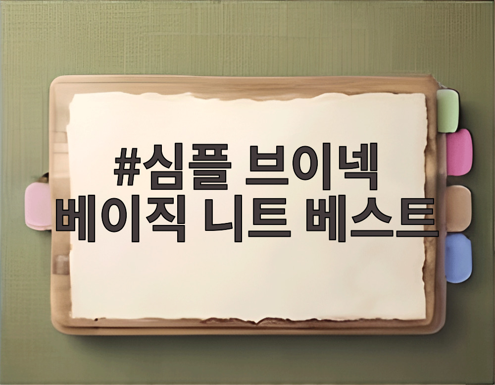 심플 브이넥 베이직 니트 베스트