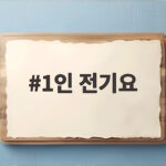 1인 전기요