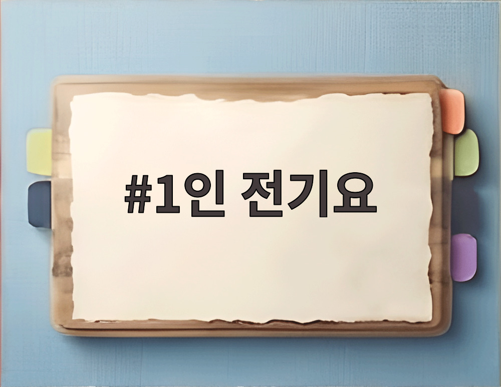 1인 전기요