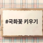 국화꽃 키우기