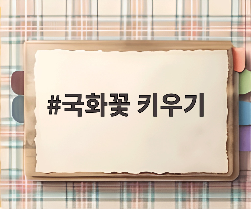 국화꽃 키우기