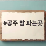 공주 밤 파는곳