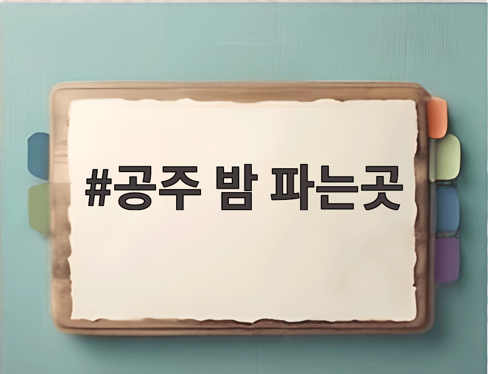 공주 밤 파는곳