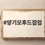 양기모후드집업