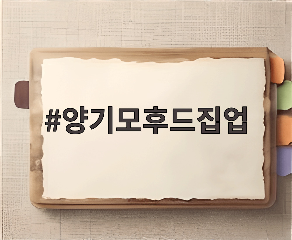 양기모후드집업