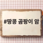땅콩 곰팡이 암
