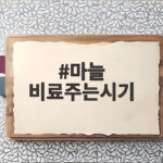 마늘 비료주는시기