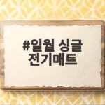 일월 싱글 전기매트