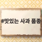 맛있는 사과 품종