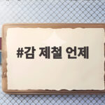 감 제철 언제