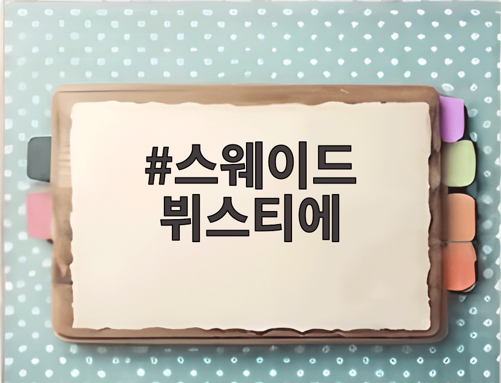 스웨이드 뷔스티에