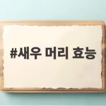 새우 머리 효능 제대로 알고 먹으면 내장 걱정 없이 맛있게 먹는 법 새우 머리 효능