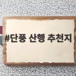 단풍 산행 추천지 초보도 숙련자도 만족하는 6곳을 골랐습니다 단풍 산행 추천지