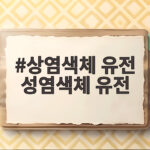 상염색체 유전 성염색체 유전